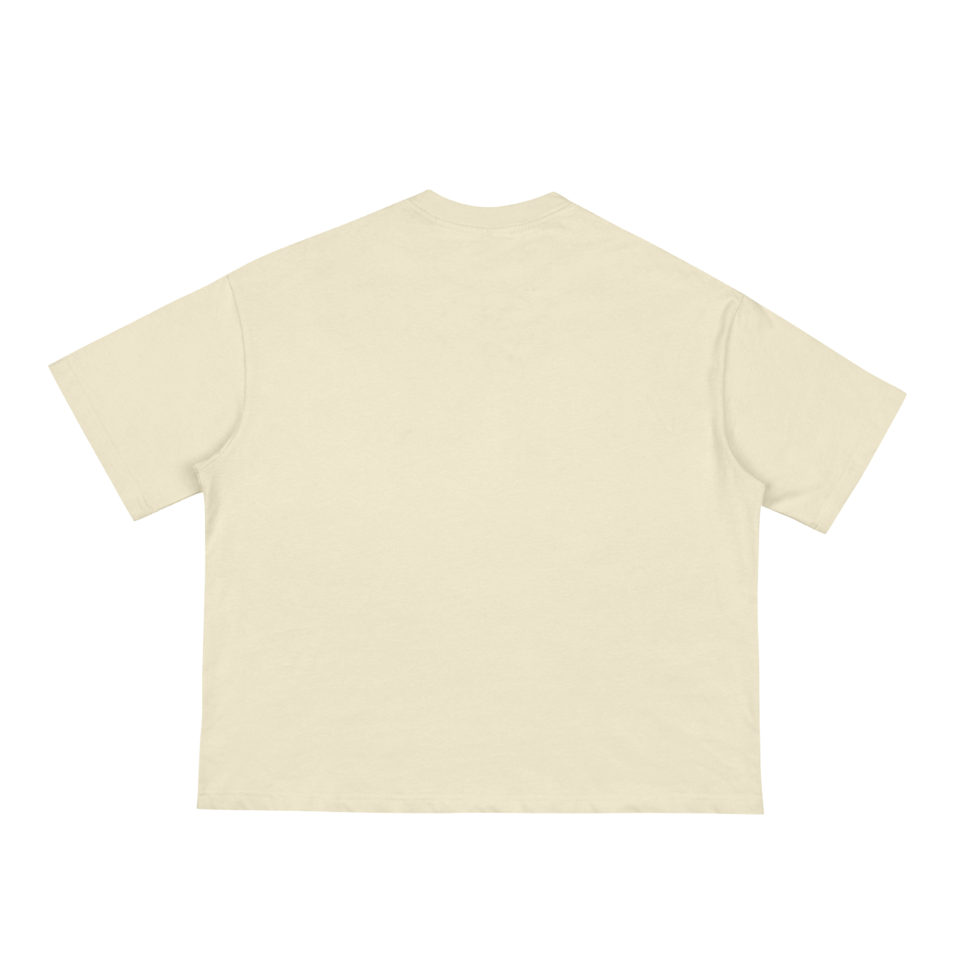 AMERIKA Classic Boxy Tee - 230 GSM
